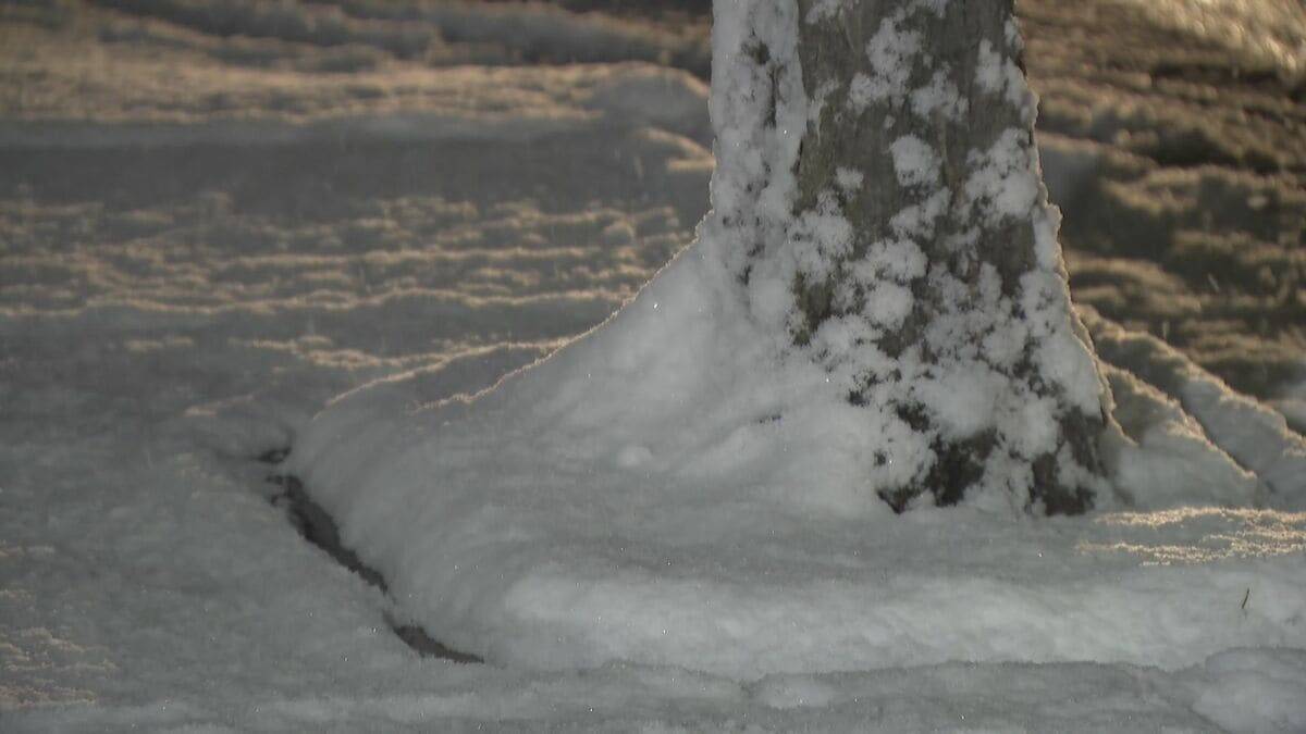 東海地方の各地で雪 三重･いなべ市で積雪15センチ 新幹線遅延や高速道路の予防的通行止めも 名古屋は積雪なしも｢凍える寒さ｣に