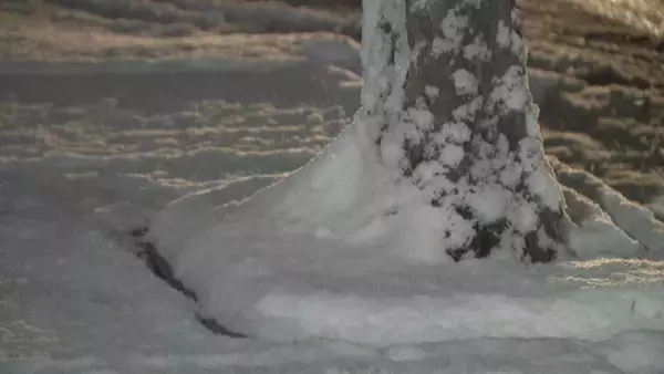 「東海地方の各地で雪 三重･いなべ市で積雪15センチ 新幹線遅延や高速道路の予防的通行止めも 名古屋は積雪なしも｢凍える寒さ｣に」の画像