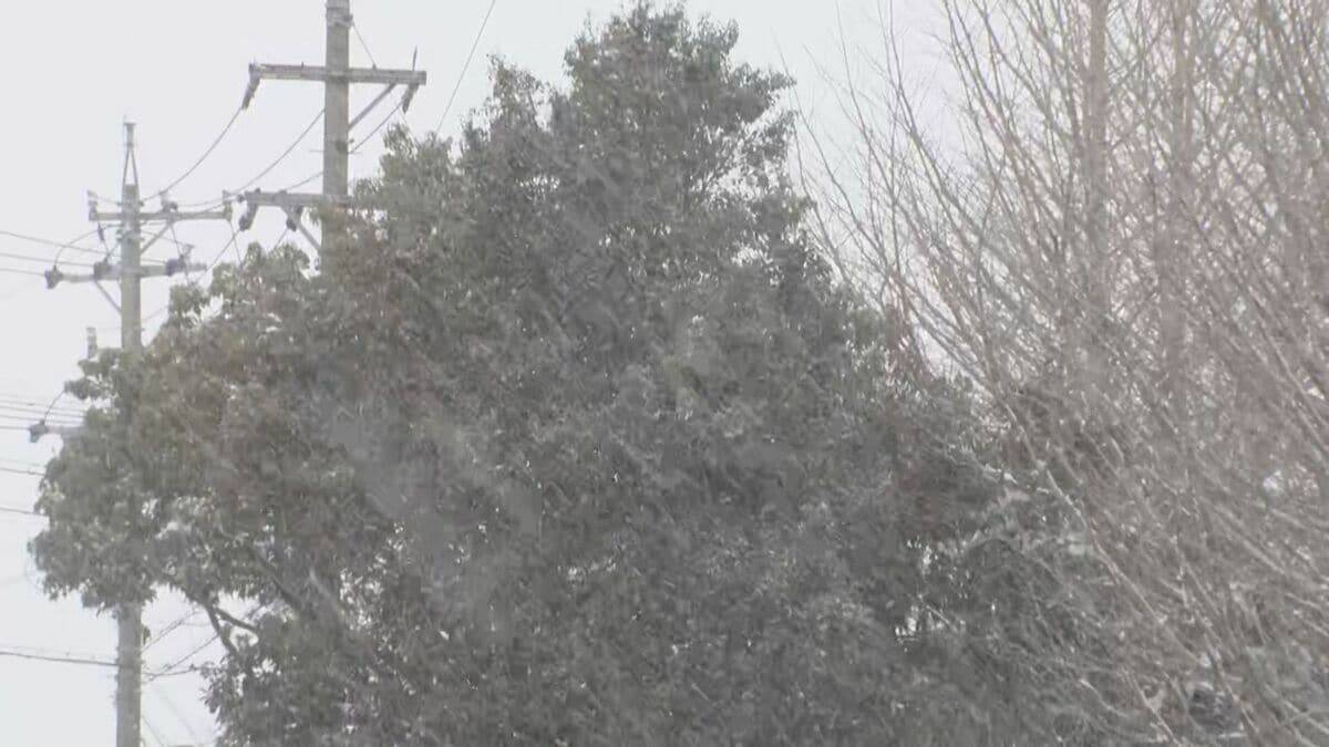 東海地方の各地で雪 三重･いなべ市で積雪15センチ 新幹線遅延や高速道路の予防的通行止めも 名古屋は積雪なしも｢凍える寒さ｣に