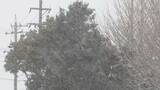 「東海地方の各地で雪 三重･いなべ市で積雪15センチ 新幹線遅延や高速道路の予防的通行止めも 名古屋は積雪なしも｢凍える寒さ｣に」の画像35