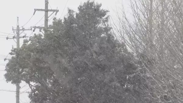 「東海地方の各地で雪 三重･いなべ市で積雪15センチ 新幹線遅延や高速道路の予防的通行止めも 名古屋は積雪なしも｢凍える寒さ｣に」の画像