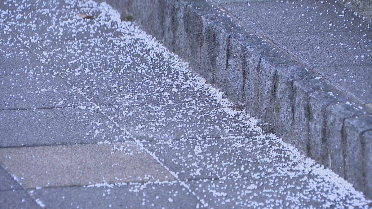 東海地方の各地で雪 三重･いなべ市で積雪15センチ 新幹線遅延や高速道路の予防的通行止めも 名古屋は積雪なしも｢凍える寒さ｣に