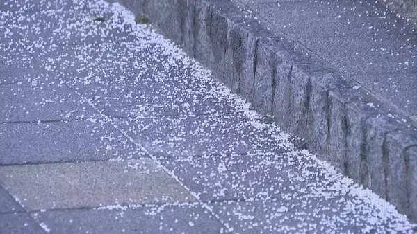 「東海地方の各地で雪 三重･いなべ市で積雪15センチ 新幹線遅延や高速道路の予防的通行止めも 名古屋は積雪なしも｢凍える寒さ｣に」の画像