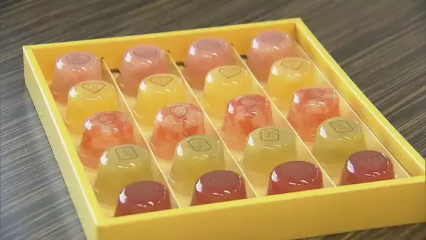 「市議が“選挙直前に菓子折り” 警察官も受け取っていた 有権者28人に約6万円相当… 岐阜･本巣市」の画像