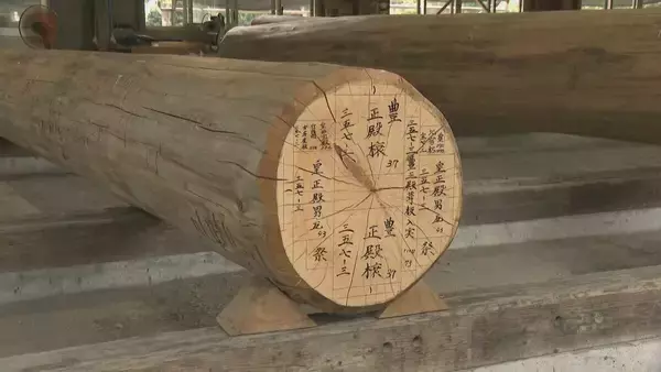「愛子さまが伊勢神宮を参拝  ｢笑顔で手を振っていただいて…｣式年遷宮に向けた伝統行事“お木曳”に法被を着て参加」の画像