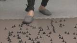 「「災害でも何が何でも生き残る」”忍術”で学ぶ防災教室 三重・津市」の画像2