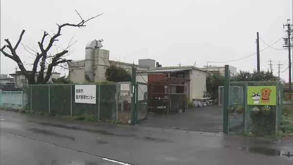 「犬と猫の殺処分 昨年度初めてゼロに 10年以上前から保護犬･保護猫の譲渡活動に取り組む 2024年度は3匹 岐阜市」の画像