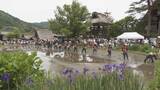 「世界遺産 白川郷で田植え祭り “田植え唄”が響きわたる中 早乙女姿の女性たちがコシヒカリの苗を丁寧に 岐阜」の画像1