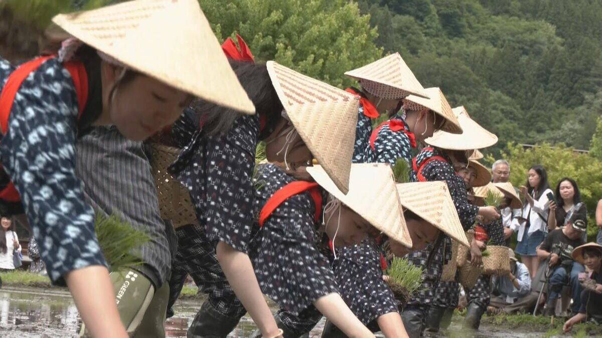 世界遺産 白川郷で田植え祭り “田植え唄”が響きわたる中 早乙女姿の女性たちがコシヒカリの苗を丁寧に 岐阜