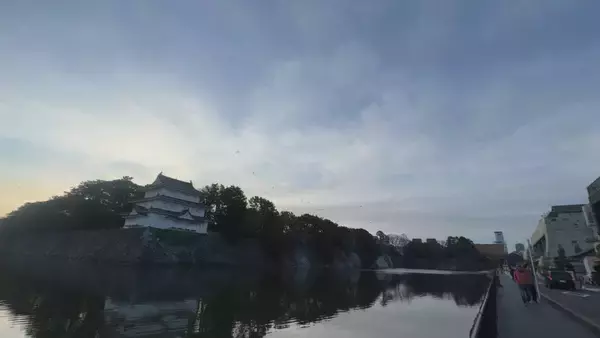 「まるで映画｢鳥｣さながら 名古屋城の石垣が“真っ白”に… 上空には“黒い鳥”の大群 ｢3年ぶりの到来｣」の画像