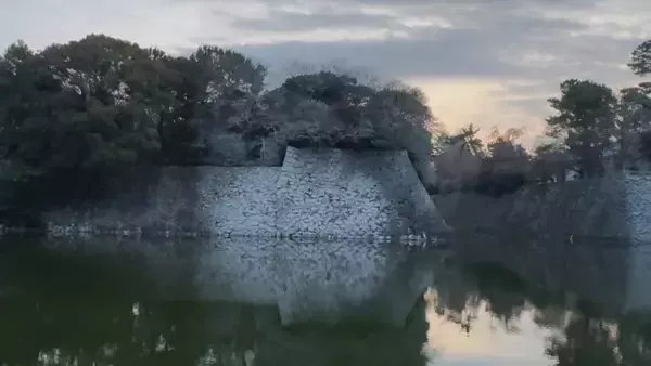 「まるで映画｢鳥｣さながら 名古屋城の石垣が“真っ白”に… 上空には“黒い鳥”の大群 ｢3年ぶりの到来｣」の画像
