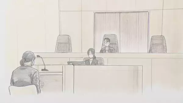 「はねられた妊婦は死亡 帝王切開で生まれた赤ちゃんにも障害残る 運転していた50歳女に禁錮2年6か月の実刑判決 ｢我が子を抱くこともできず、この世を去る無念は計り知れない」愛知･一宮市」の画像