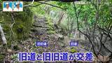 「謎多き静岡・南伊豆の廃隧道を調査！竣工年・名称不明の廃隧道の歴史を紐解く旅【道との遭遇】」の画像3