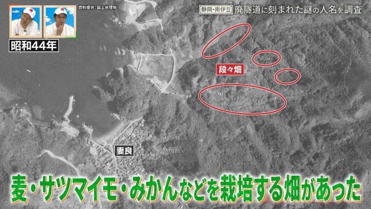 謎多き静岡・南伊豆の廃隧道を調査！竣工年・名称不明の廃隧道の歴史を紐解く旅【道との遭遇】