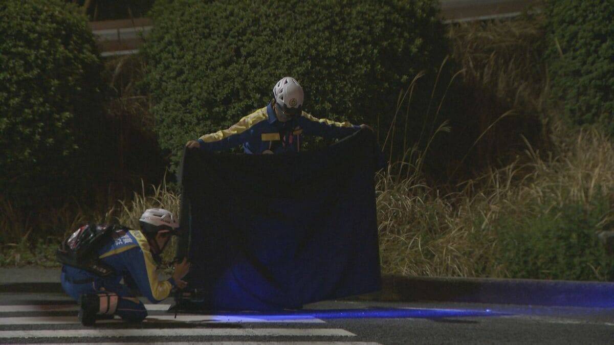 ひき逃げ事件で女性（22）が重傷 黒色のワンボックスカーの行方追う