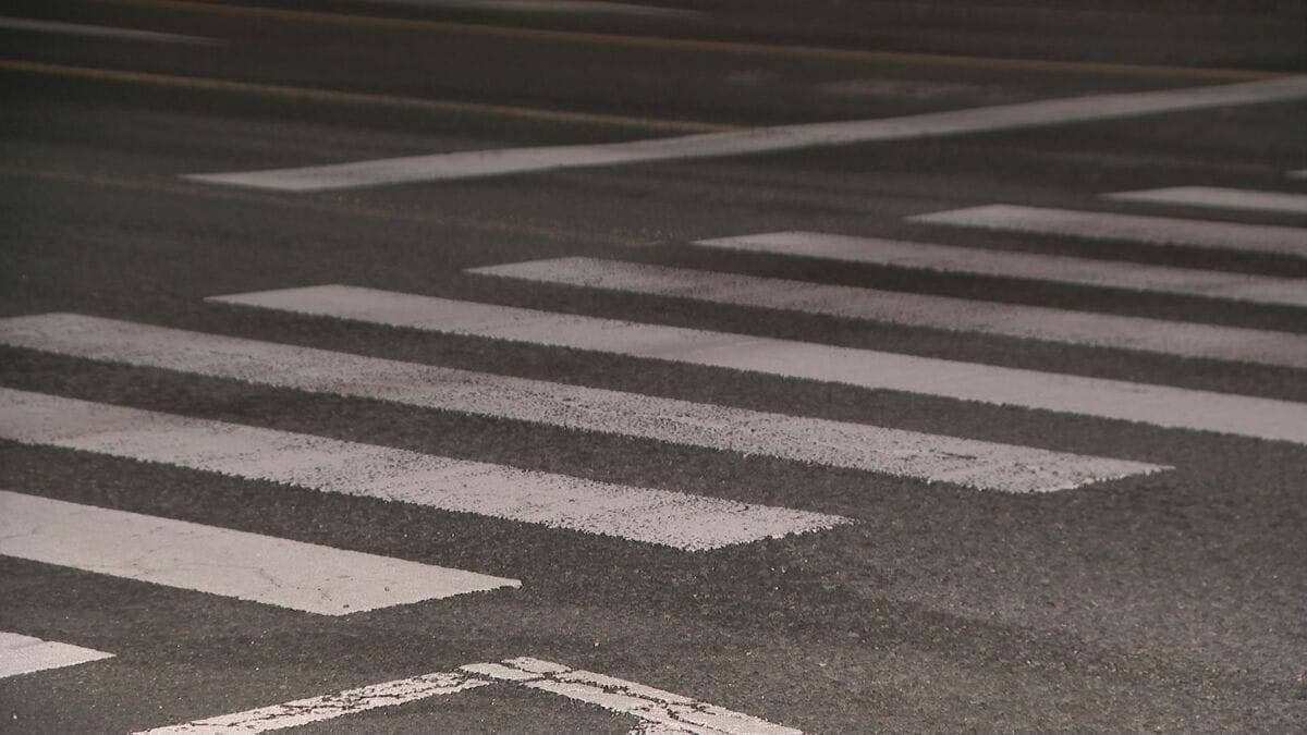 歩行者の22歳女性をひき逃げし重傷負わせた疑い 34歳ペットショップ経営者の男を逮捕  男は黙秘 愛知･豊明市