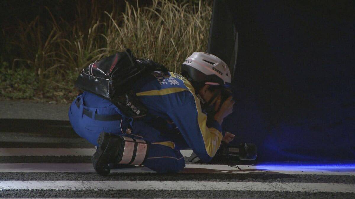 歩行者の22歳女性をひき逃げし重傷負わせた疑い 34歳ペットショップ経営者の男を逮捕  男は黙秘 愛知･豊明市