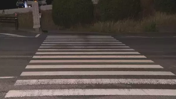 「歩行者の22歳女性をひき逃げし重傷負わせた疑い 34歳ペットショップ経営者の男を逮捕  男は黙秘 愛知･豊明市」の画像