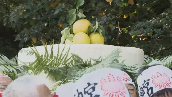 熱田神宮に大鏡餅奉納 重さ450キロと70キロ 計3基を担いで…鏡開きは新年1月9日 「立派なのでびっくりした」名古屋
