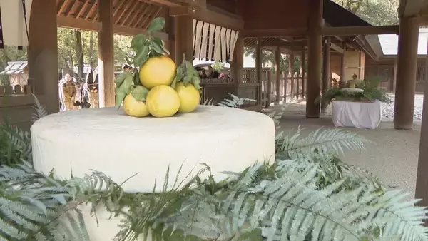 「熱田神宮に大鏡餅奉納 重さ450キロと70キロ 計3基を担いで…鏡開きは新年1月9日 「立派なのでびっくりした」名古屋」の画像