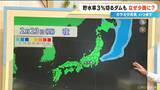 「少雨はいつまで？長引く水不足…貯水率3％を切るダムも 来週は“恵の雨”に期待 最新の雨シミュレーション」の画像10