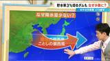 「少雨はいつまで？長引く水不足…貯水率3％を切るダムも 来週は“恵の雨”に期待 最新の雨シミュレーション」の画像5