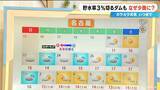 「少雨はいつまで？長引く水不足…貯水率3％を切るダムも 来週は“恵の雨”に期待 最新の雨シミュレーション」の画像7