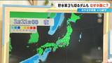 「少雨はいつまで？長引く水不足…貯水率3％を切るダムも 来週は“恵の雨”に期待 最新の雨シミュレーション」の画像8