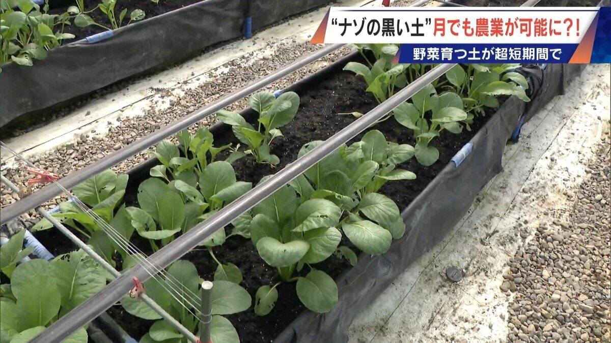 “謎の黒い土” 月での農業を可能にする技術？甘いミニトマトの収穫はロボットで 日本の農業を変える最先端技術