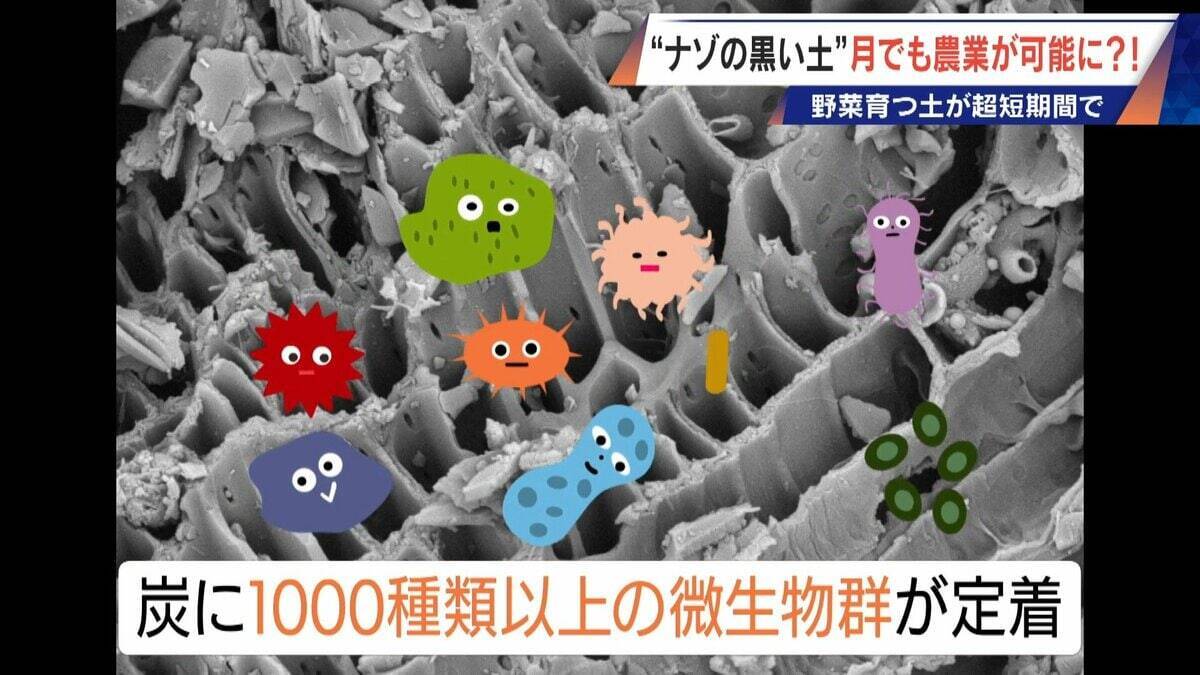 “謎の黒い土” 月での農業を可能にする技術？甘いミニトマトの収穫はロボットで 日本の農業を変える最先端技術
