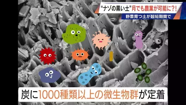 「“謎の黒い土” 月での農業を可能にする技術？甘いミニトマトの収穫はロボットで 日本の農業を変える最先端技術」の画像