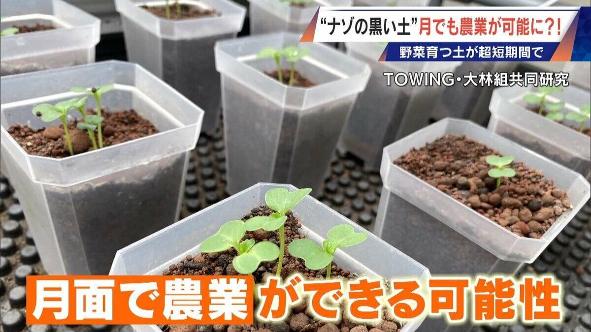 “謎の黒い土” 月での農業を可能にする技術？甘いミニトマトの収穫はロボットで 日本の農業を変える最先端技術
