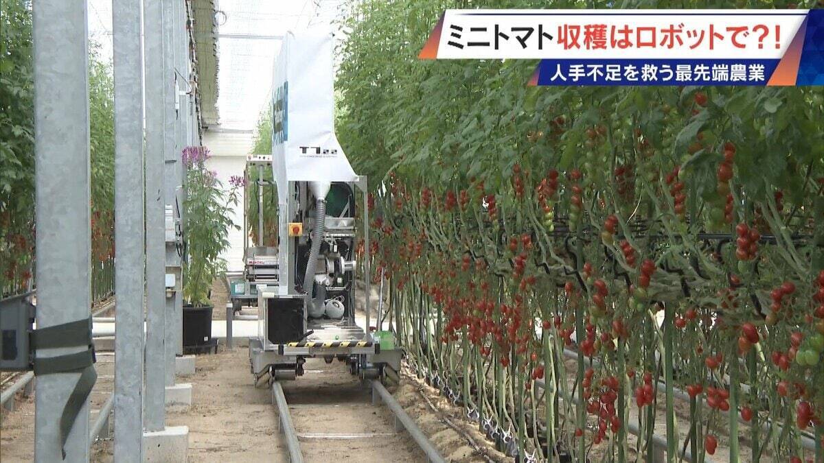 “謎の黒い土” 月での農業を可能にする技術？甘いミニトマトの収穫はロボットで 日本の農業を変える最先端技術