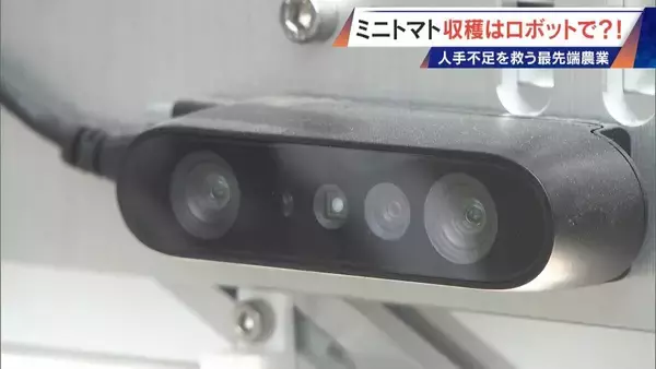 「“謎の黒い土” 月での農業を可能にする技術？甘いミニトマトの収穫はロボットで 日本の農業を変える最先端技術」の画像