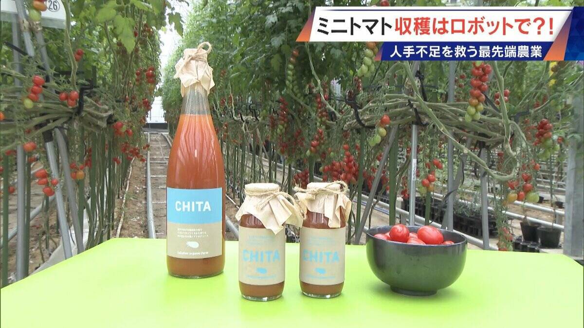 “謎の黒い土” 月での農業を可能にする技術？甘いミニトマトの収穫はロボットで 日本の農業を変える最先端技術