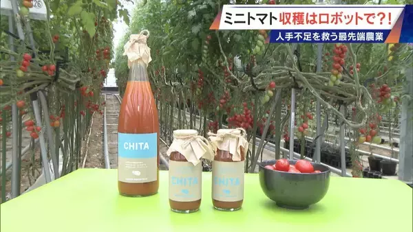 「“謎の黒い土” 月での農業を可能にする技術？甘いミニトマトの収穫はロボットで 日本の農業を変える最先端技術」の画像