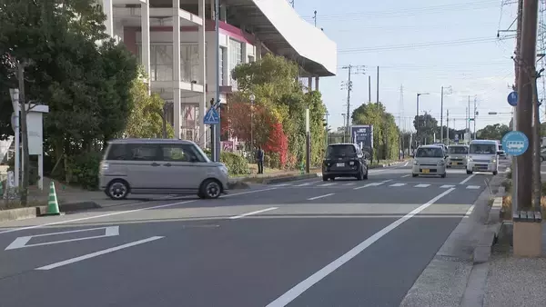 「人にぶつかったことも気が付きませんでした」ひき逃げ疑いで女(74)を逮捕　はねられた女性(84)は意識不明の重体　愛知・東浦町