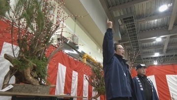 1株6万円のものも 岐阜･飛騨の正月を彩る｢花もち｣の競り市 クマの出没相次ぎ入荷数は去年の半分