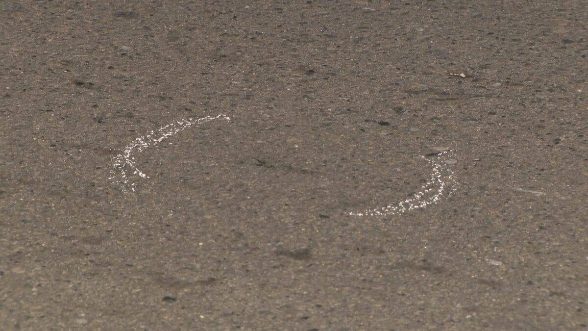 路上に横たわっていた58歳男性はねられ意識不明 ひき逃げなどの疑いで41歳女を逮捕 ｢人だと思わなかった｣ 愛知･一宮市