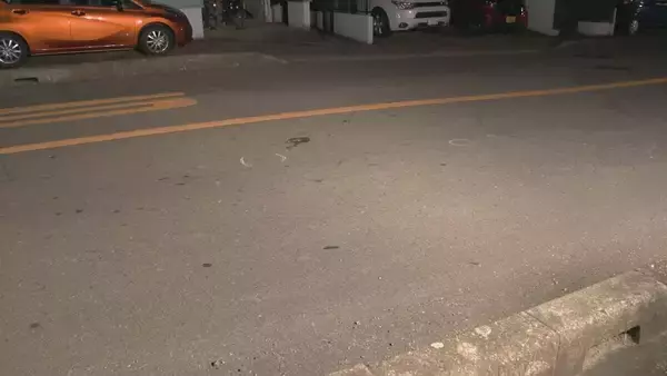 「路上に横たわっていた58歳男性はねられ意識不明 ひき逃げなどの疑いで41歳女を逮捕 ｢人だと思わなかった｣ 愛知･一宮市」の画像