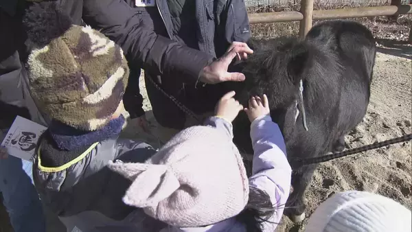 「熱田神宮は三が日で220万人が参拝｢家族が健康で楽しく過ごせる1年に｣ 伊勢神宮には42万が訪れる 東海地方の正月」の画像