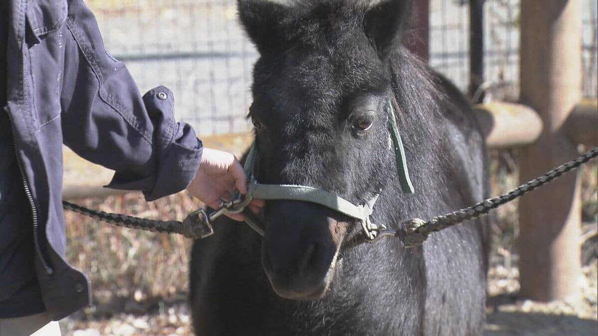 熱田神宮は三が日で220万人が参拝｢家族が健康で楽しく過ごせる1年に｣ 伊勢神宮には42万が訪れる 東海地方の正月