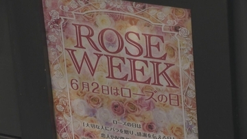イラン攻撃開始から3か月…花の輸送コスト上昇 名古屋・中区の生花店で「バラ」ほぼ国産に…燃料費や肥料の価格高騰で生産者にも重荷