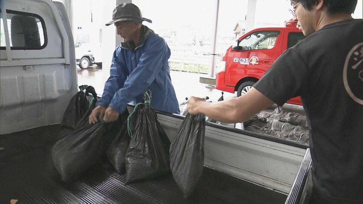 【台風6号】「チャンミー｣ あす明け方～昼前 東海地方に最接近か 大雨･土砂災害に警戒を 雨･風シミュレーション 愛知･名古屋･岐阜･三重の天気予報【台風情報】