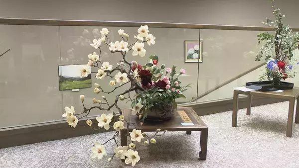 「クラブハウスで春の息吹感じる「千秋流」いけばな展 明智ゴルフ倶楽部ひるかわゴルフ場 岐阜・中津川市」の画像