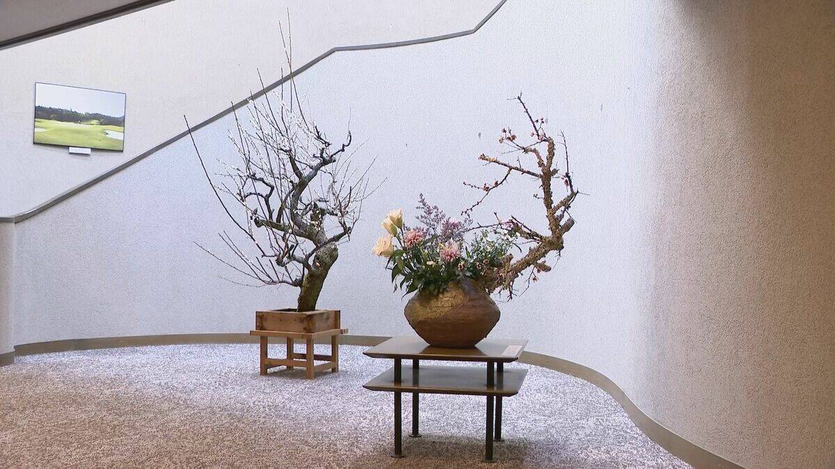 クラブハウスで春の息吹感じる「千秋流」いけばな展 明智ゴルフ倶楽部ひるかわゴルフ場 岐阜・中津川市