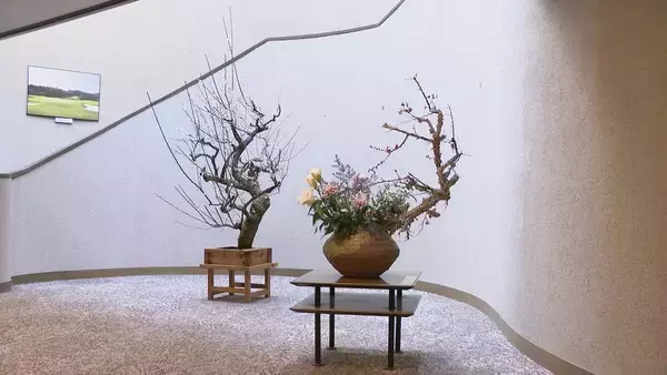 「クラブハウスで春の息吹感じる「千秋流」いけばな展 明智ゴルフ倶楽部ひるかわゴルフ場 岐阜・中津川市」の画像