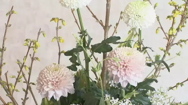 「クラブハウスで春の息吹感じる「千秋流」いけばな展 明智ゴルフ倶楽部ひるかわゴルフ場 岐阜・中津川市」の画像