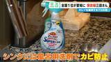 「驚異の★4.98 “家政婦の三田さん”直伝 シンクはお風呂用洗剤で赤カビ予防 掃除のプロに聞く“散らからない部屋”の作り方」の画像6