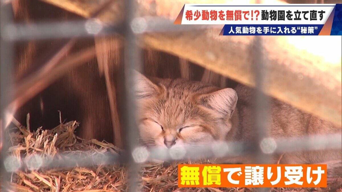経営難の動物園から脱却を… 希少動物を無償で呼び込む“秘訣” 物価高などでいまだ半分が未公開エリア 三重･多気町の｢ごかつら池どうぶつパーク｣
